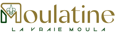 Logo Moulatine